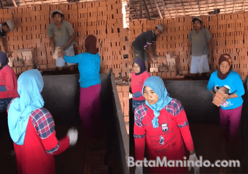 jual batu bata merah press di serang
